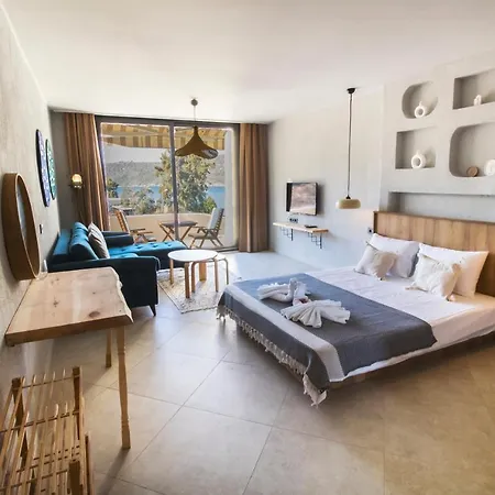 旅馆 Unique Boutique Hotel For Chill/Out Getaway 博阿齐奇